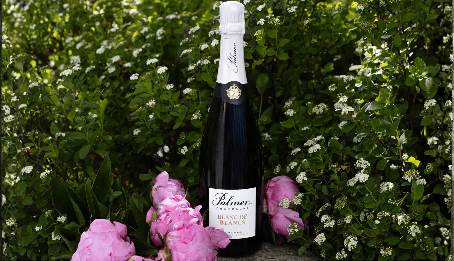 Palmer & Co Blanc de Blancs 2019